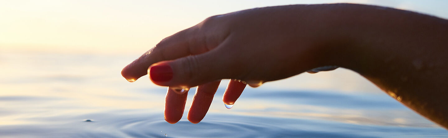 ส่วนบนสุดของเว็บไซต์